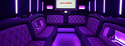 baton rouge limo service
